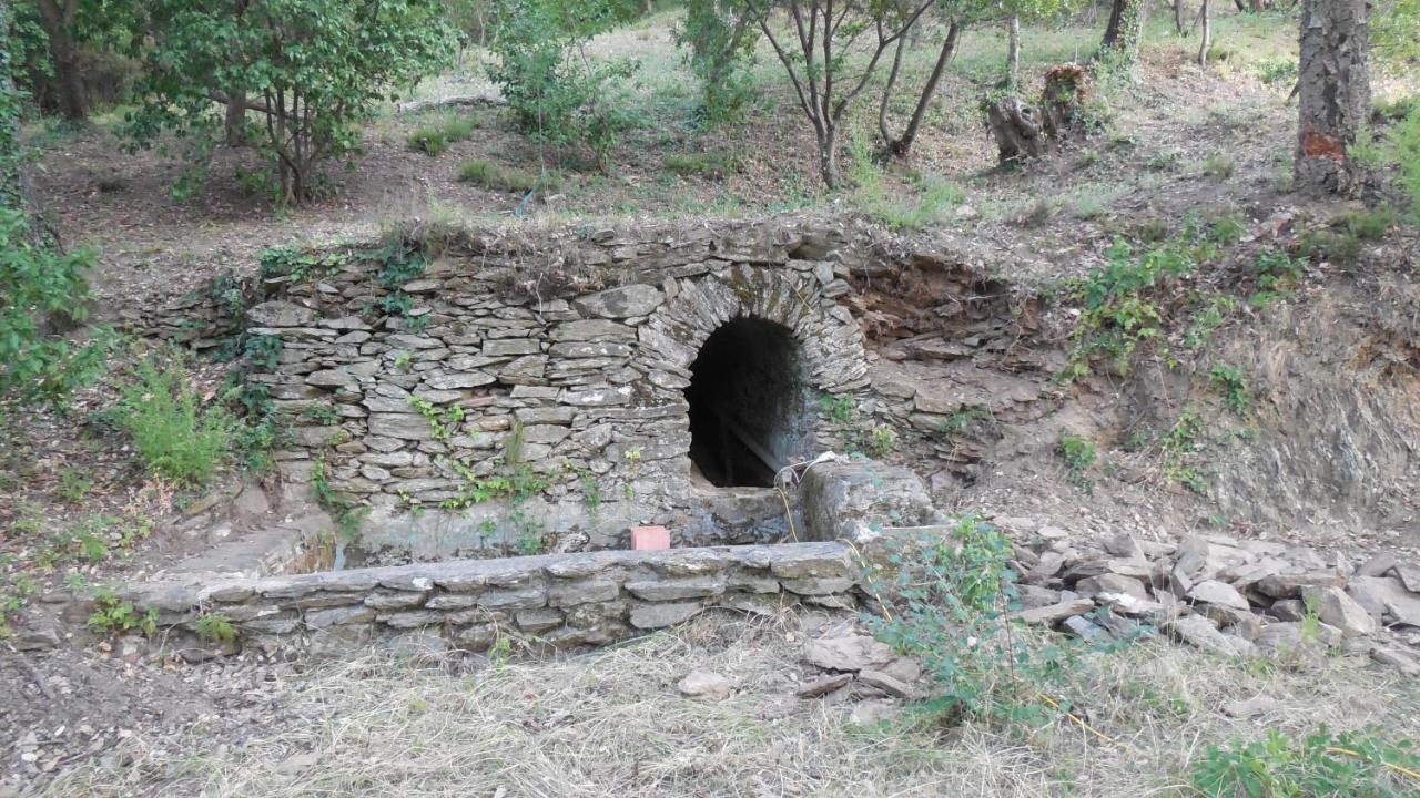 La Bergerie La Garde-Freinet Exterior photo