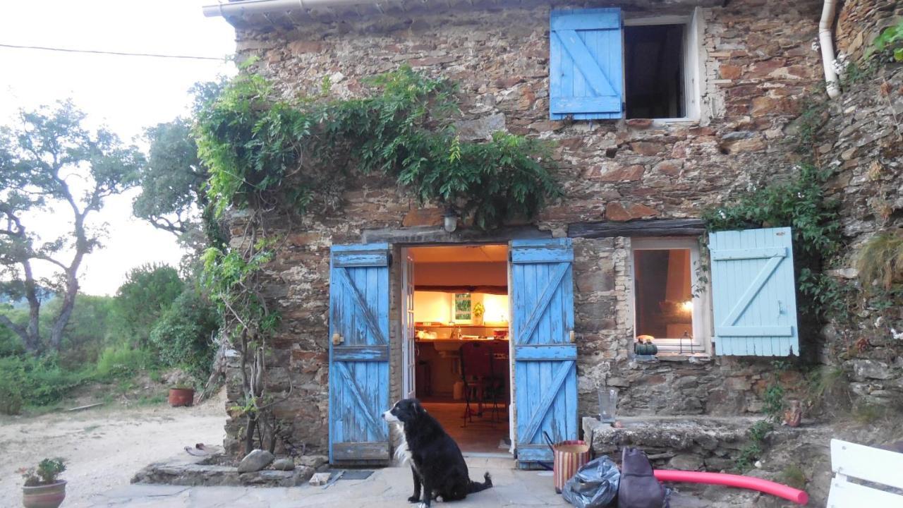 La Bergerie La Garde-Freinet Exterior photo